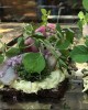 24 stykker højtbelagt luksus smørrebrød 24 stykker højtbelagt luksus smørrebrød